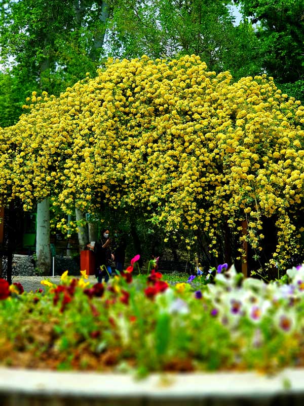 پارکهای تهران 1400